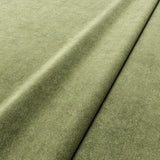NoMo Tea Green