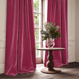 Omega Pink