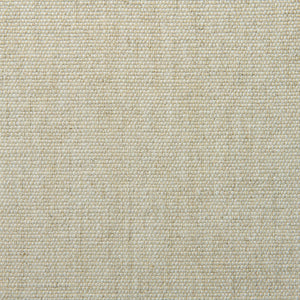 Sample of a plain luxurious woven fabric in cream.