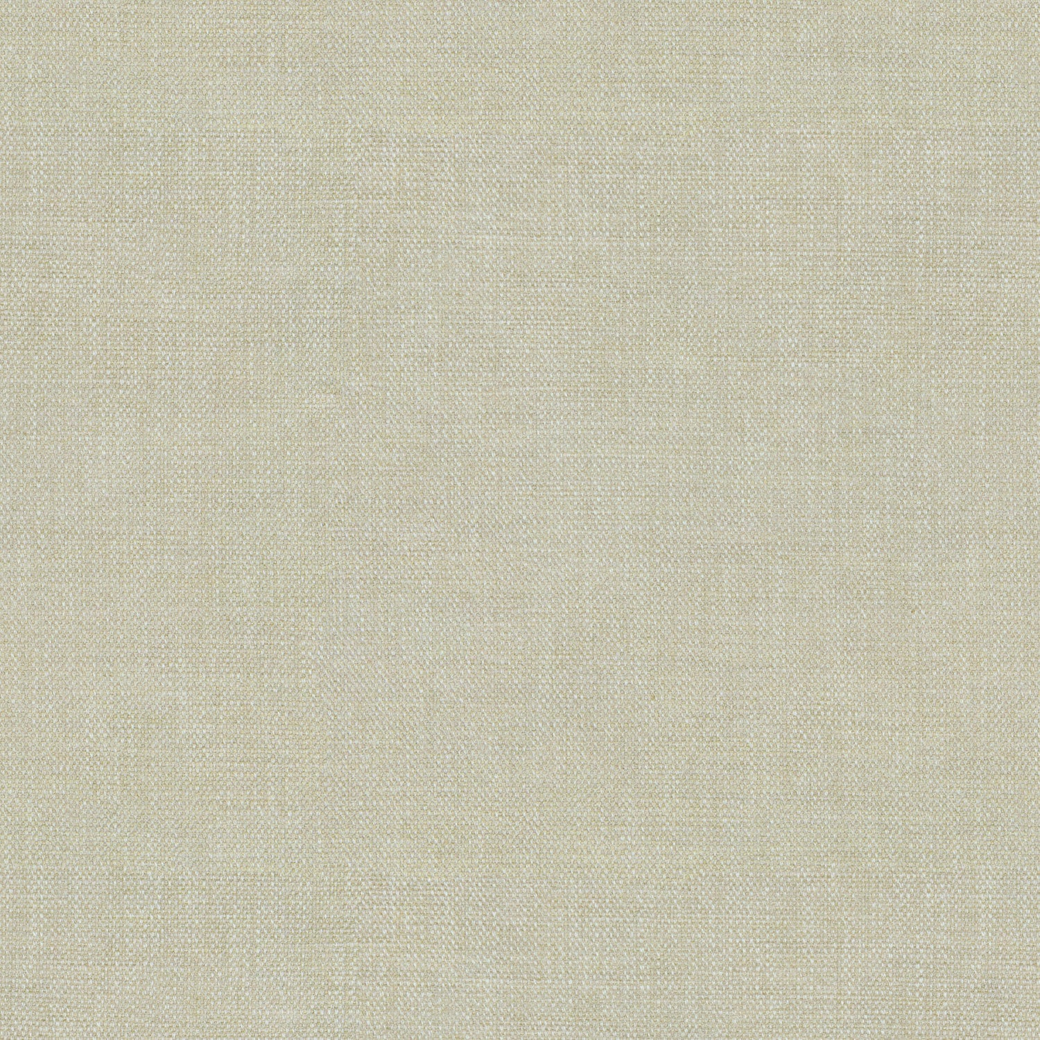 Sample of a chenille woven fabric in cream.