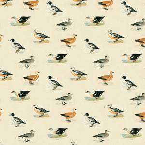 Animal wallpaper featuring ducks.