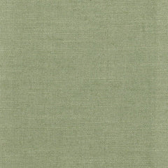 Juno Oregano