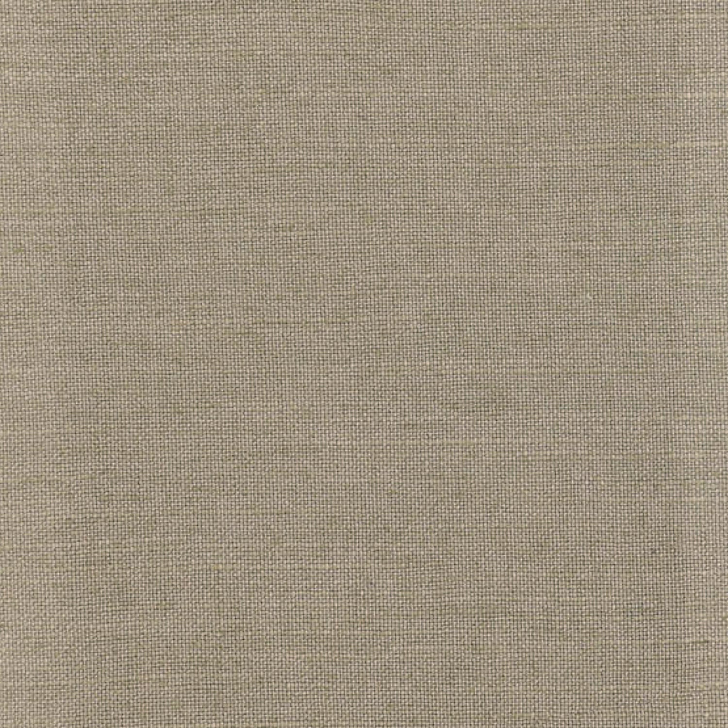 Plain fabric swatch, colour Moleskin.