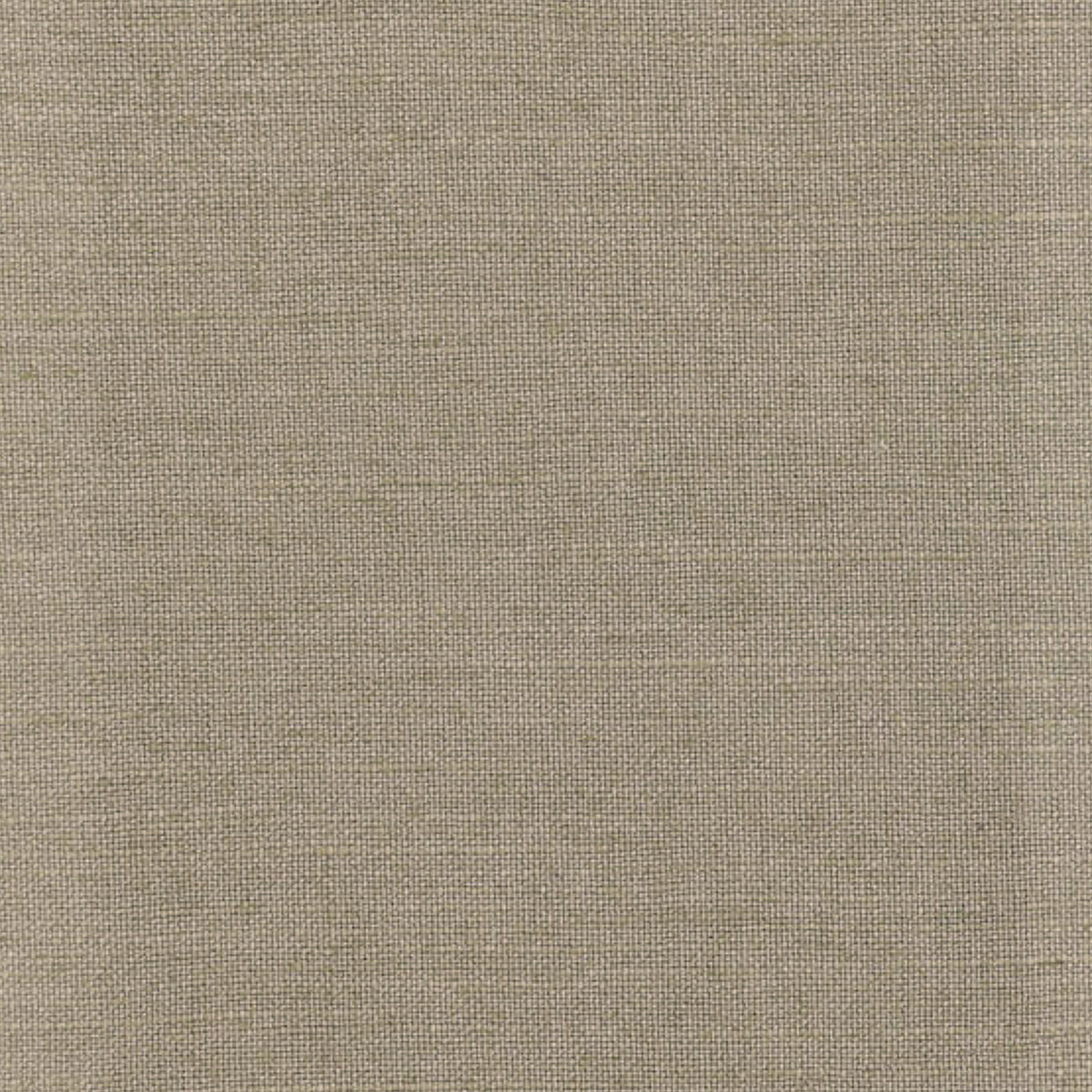 Juno Moleskin Stain Resistant Upholstery Fabric Linwood
