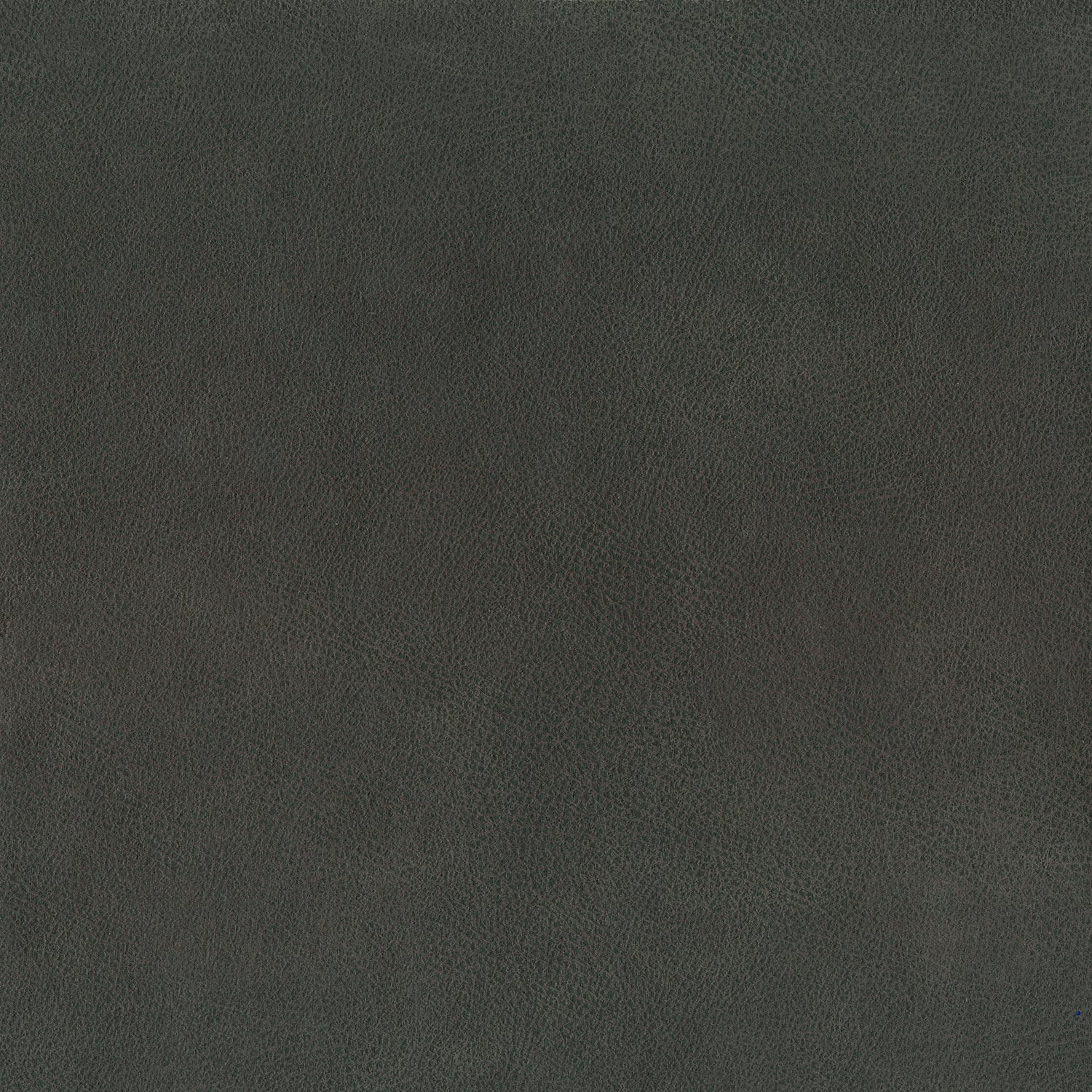 Saddle - Java | Leather | Upholstery Fabric | Linwood