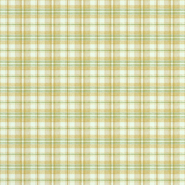 8020105.3.0  La Rochelle Woven Green Check/Plaid - Brunschwig & Fils