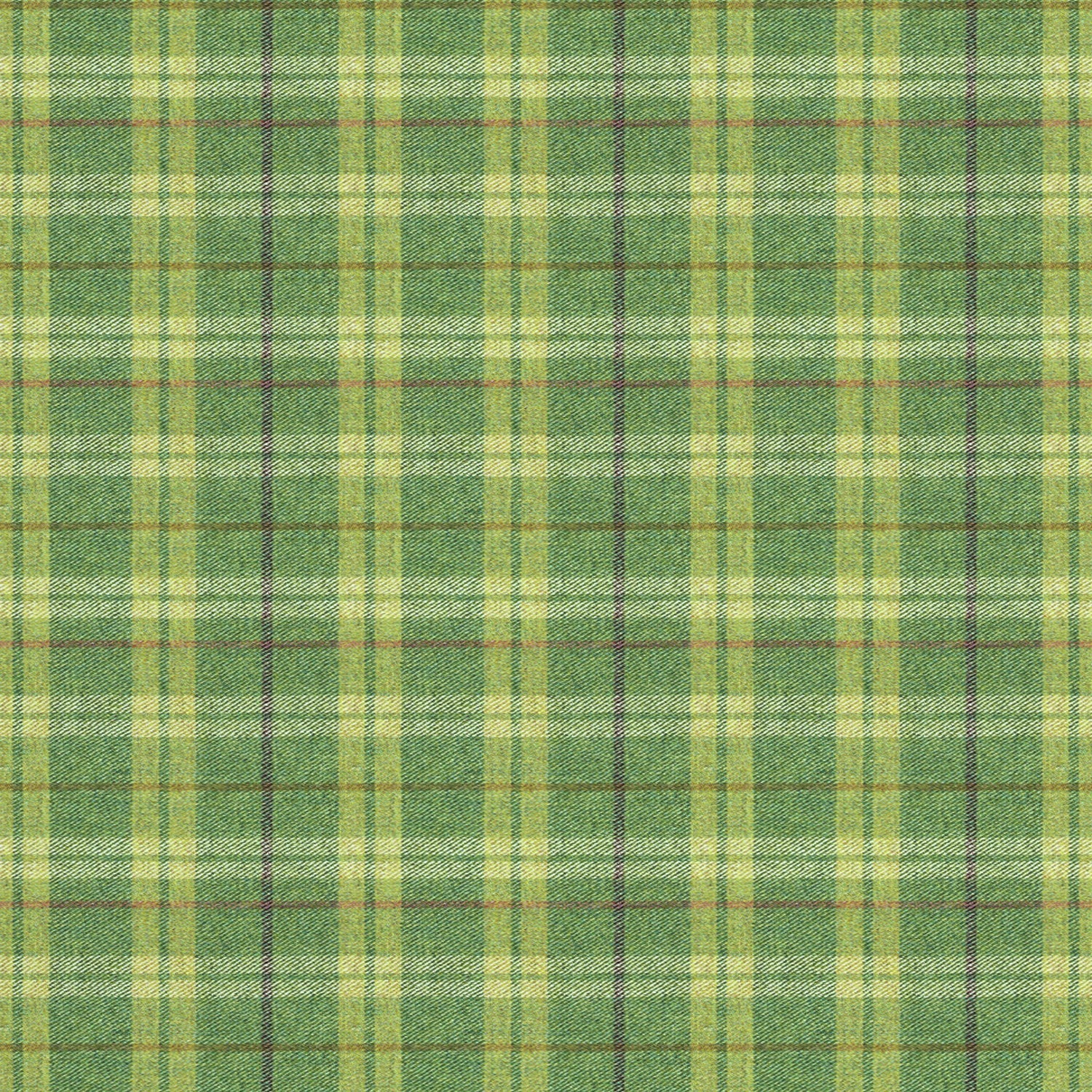 Fabric swatch of a green Scottish wool plaid check fabric for curtains and upholstery