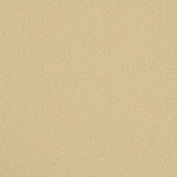 Fabric swatch of a luxury Scottish plain cream wool fabric suitable for curtains and upholstery