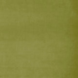 Fabric swatch of a green plain velvet – suitable for use as a velvet upholstery fabric or velvet curtains
