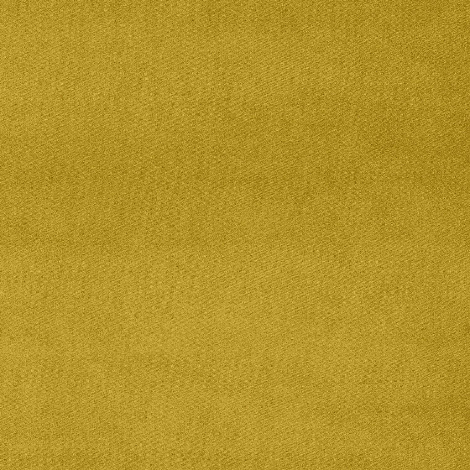 Fabric swatch of a yellow plain velvet – suitable for use as a velvet upholstery fabric or velvet curtains