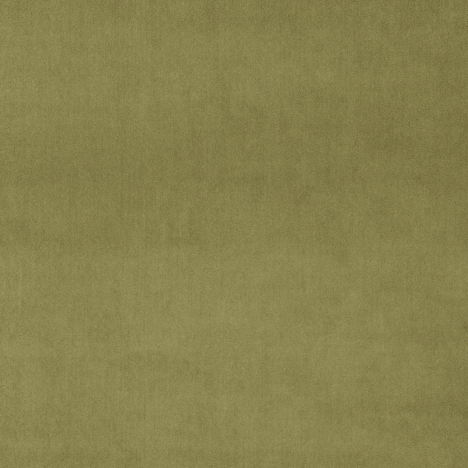 Fabric swatch of a green plain velvet – suitable for use as a velvet upholstery fabric or velvet curtains