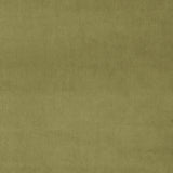 Fabric swatch of a green plain velvet – suitable for use as a velvet upholstery fabric or velvet curtains