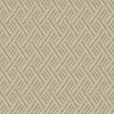 Rumba Ochre