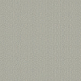 Salta Powder Blue