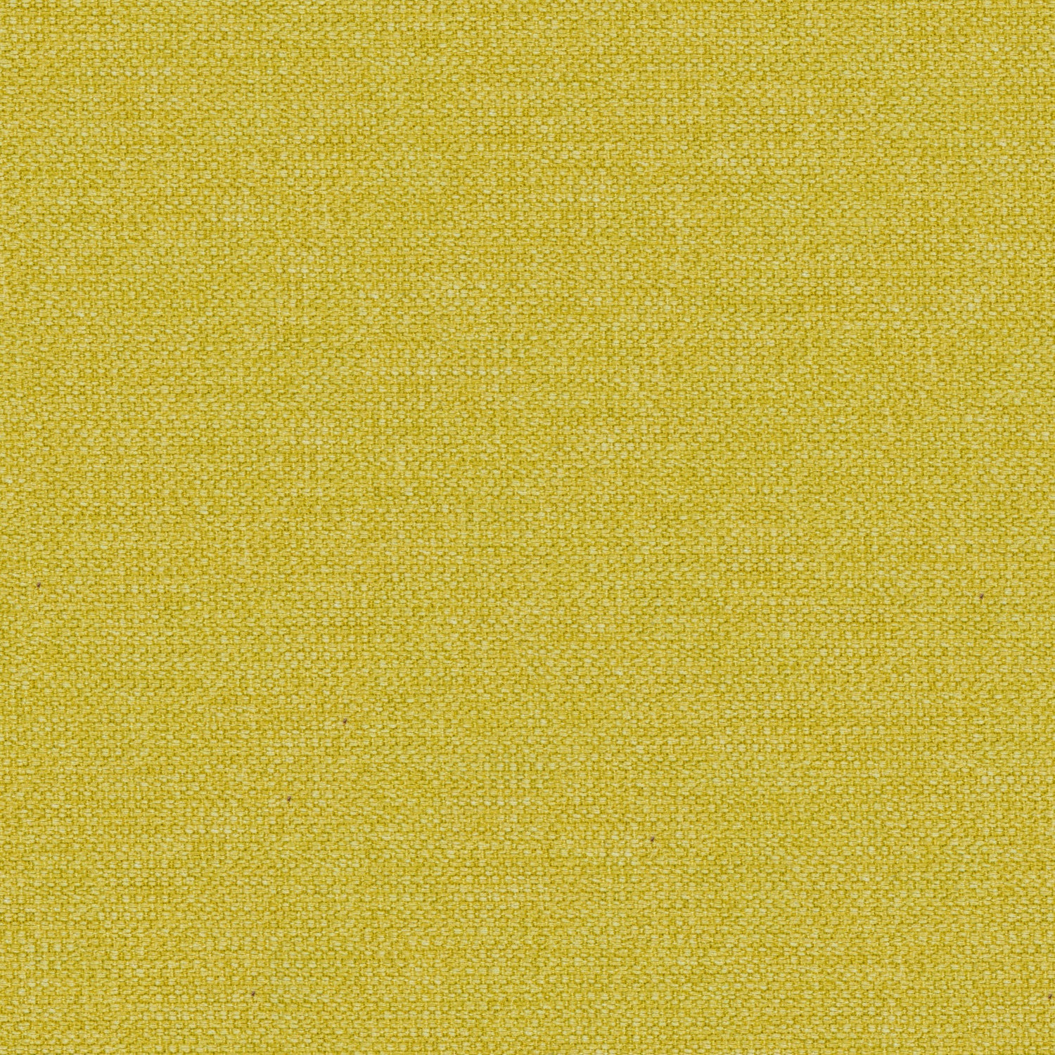 Bright yellow cotton washable fabric for contract and domestic furnishings or curtains