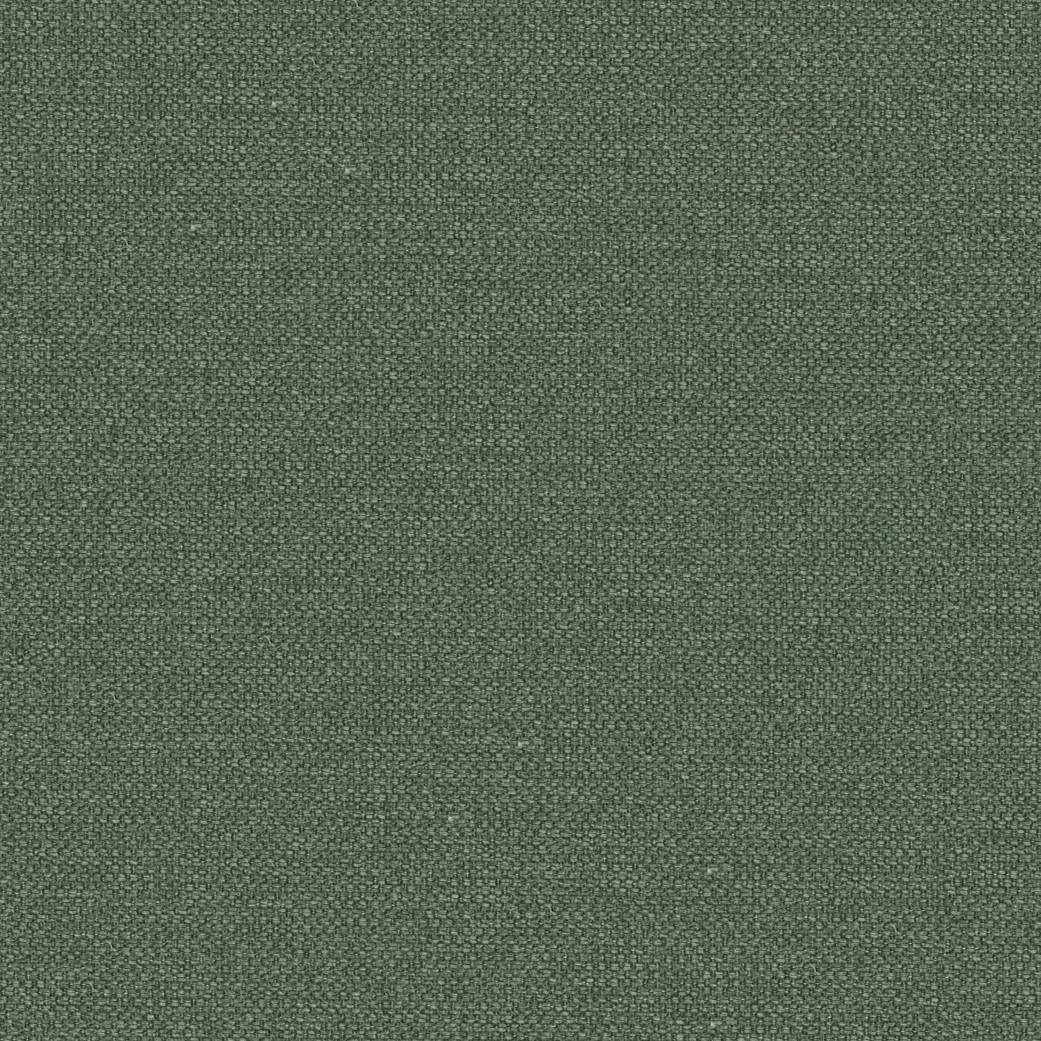Sage green cotton fabric suitable for curtains and upholstery