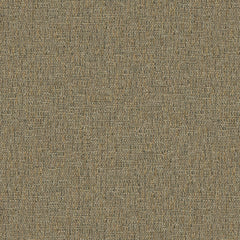 Tamar Hickory