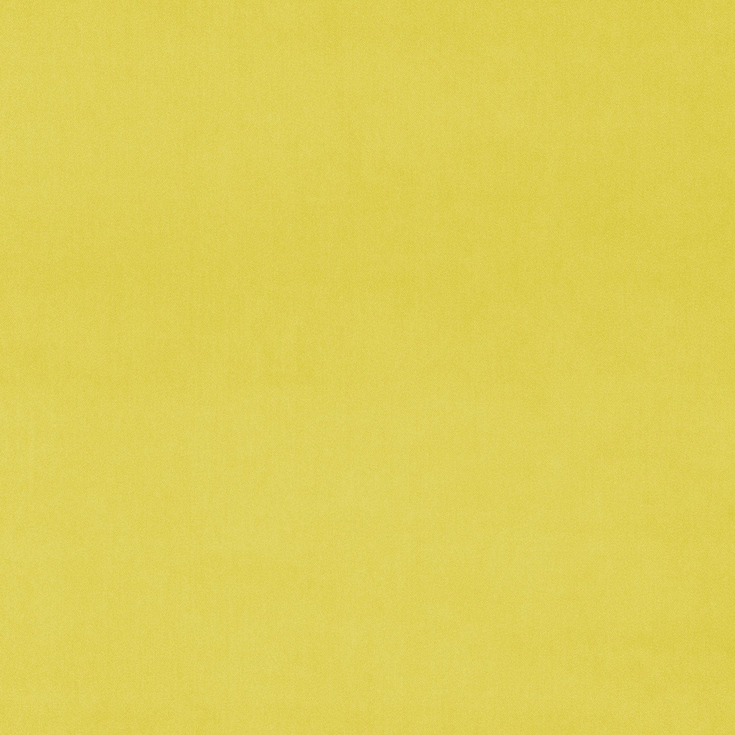 Fabric swatch of a yellow plain velvet – suitable for use as a velvet upholstery fabric or velvet curtains