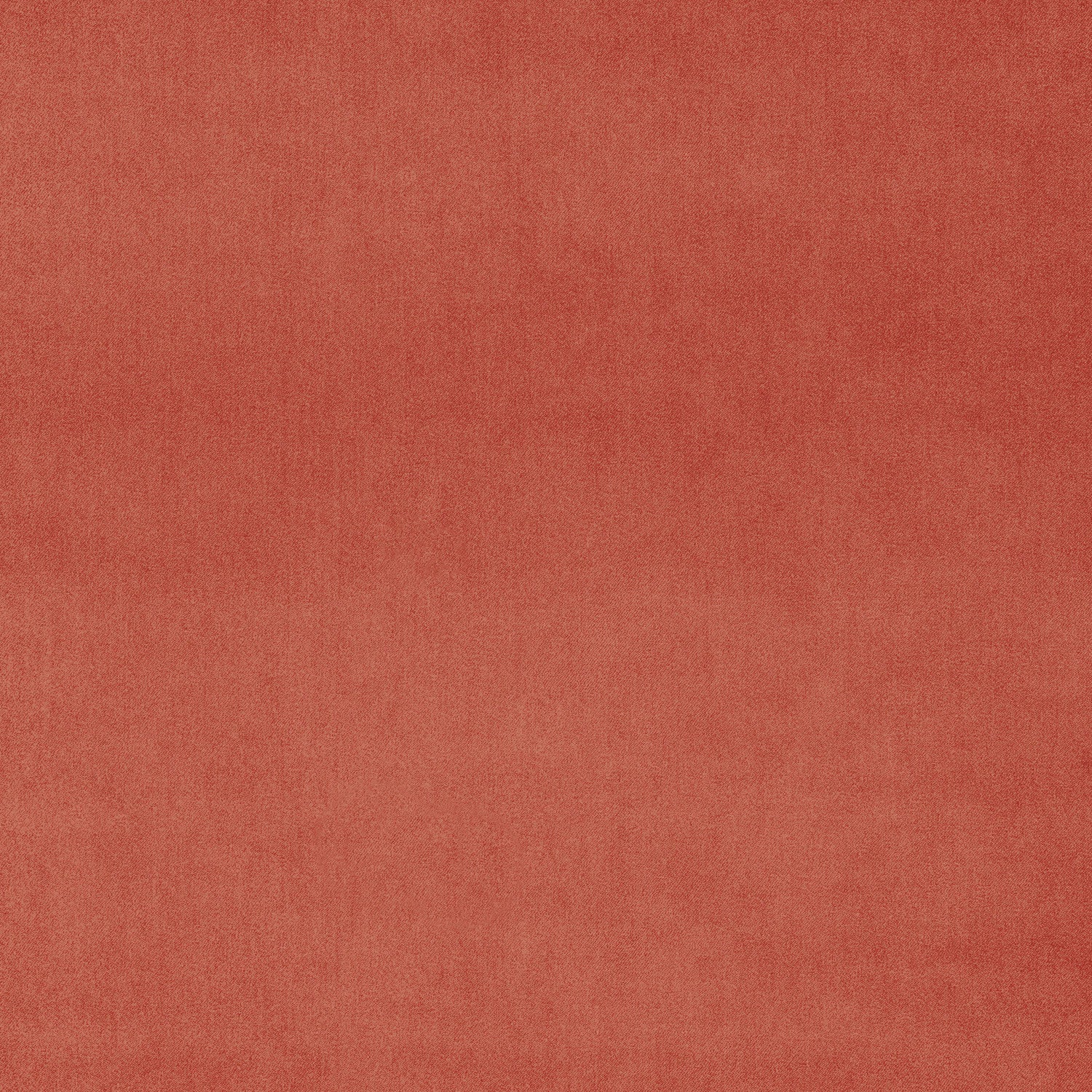 Fabric swatch of a orange eco plain velvet – suitable for use as a velvet upholstery fabric or velvet curtains