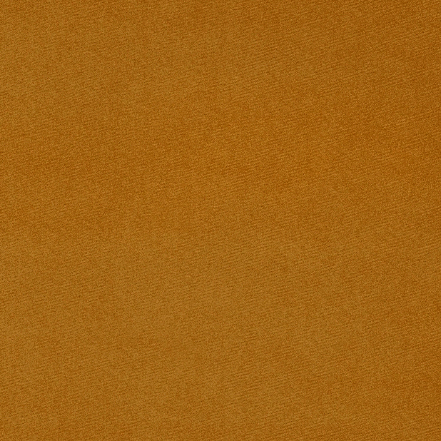 Fabric swatch of a yellow eco plain velvet – suitable for use as a velvet upholstery fabric or velvet curtains