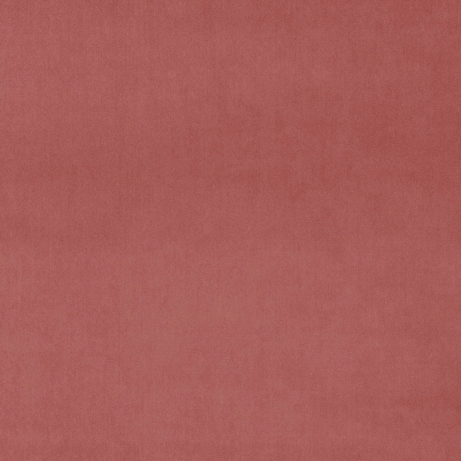 Fabric swatch of a pink eco plain velvet – suitable for use as a velvet upholstery fabric or velvet curtains