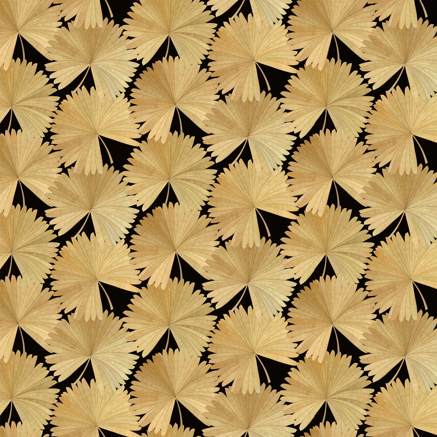 Sample showcasing a contemporary floral wallpaper with tropical palms in gold and black.